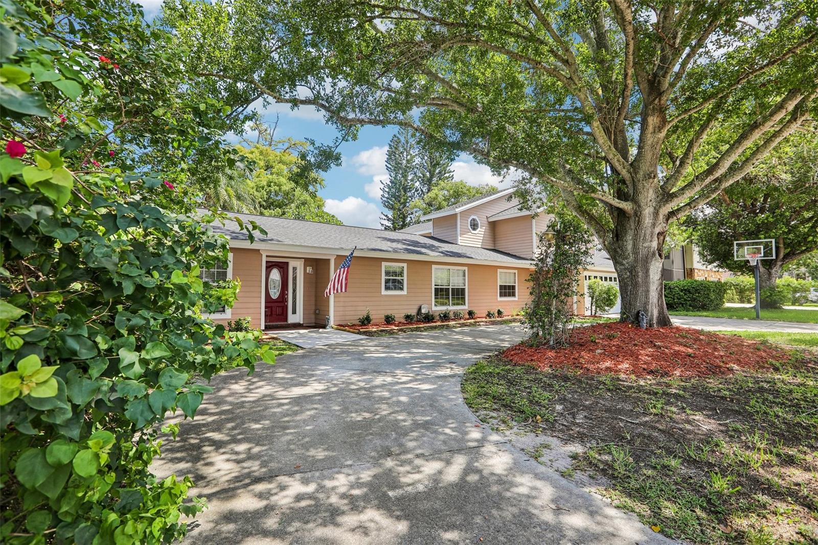 3131 N Canal Dr, Palm Harbor, FL 34684 photo