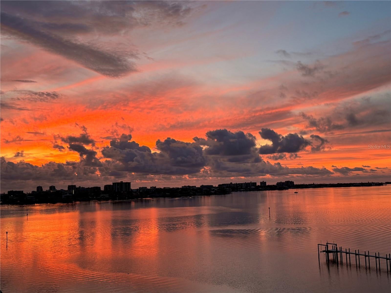 920 N Osceola Ave #702, Clearwater, FL 33755 photo