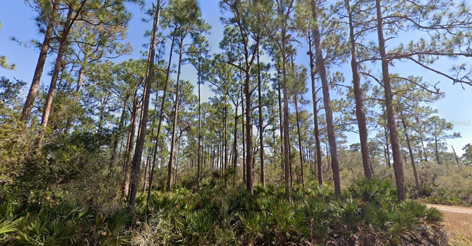 804 Formosa St, Lake Placid, FL 33852 photo