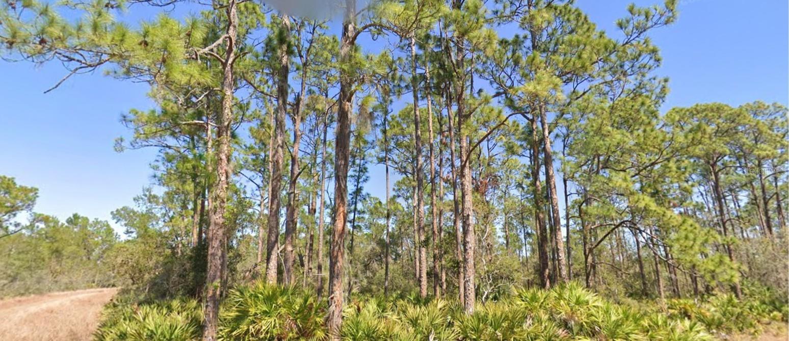 804 Formosa St, Lake Placid, FL 33852 photo
