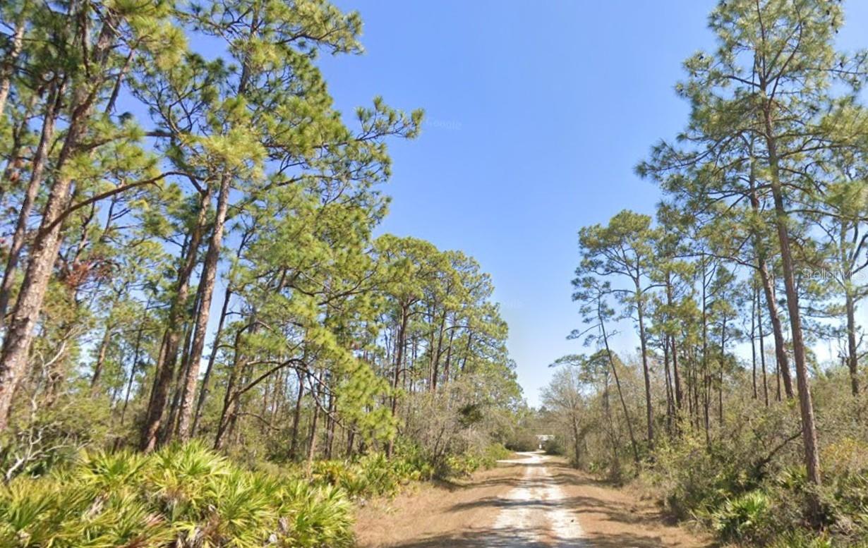 804 Formosa St, Lake Placid, FL 33852 photo