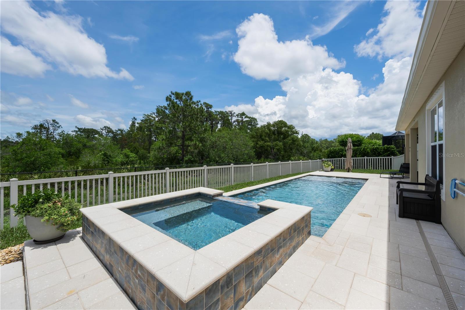 18233 Roseate Dr, Lutz, FL 33558 photo