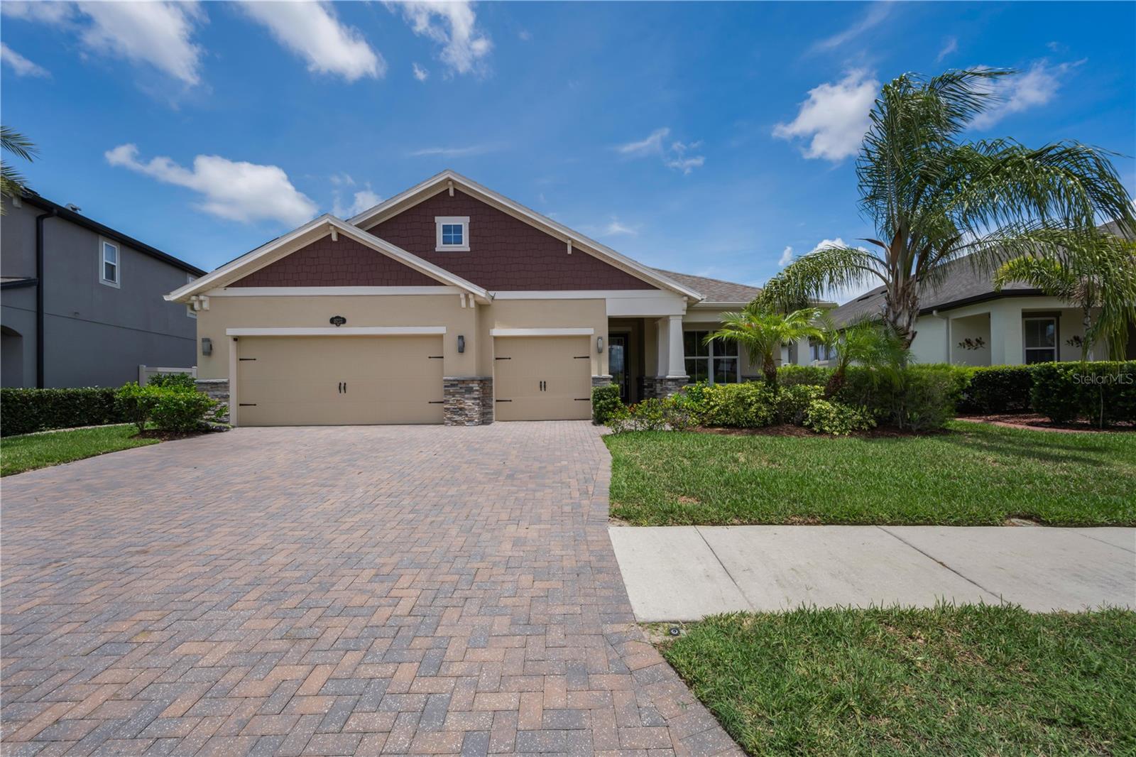 18233 Roseate Dr, Lutz, FL 33558 photo