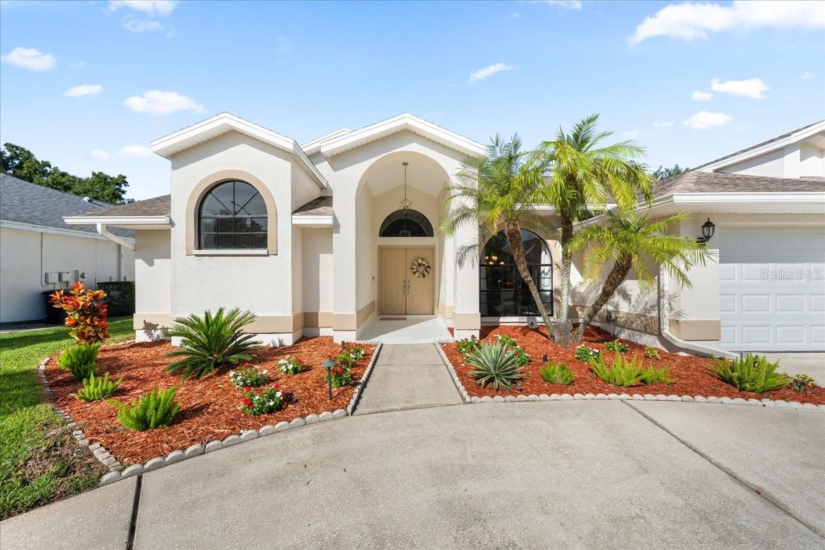 2656 Saddlewood Ln, Palm Harbor, FL 34685 photo