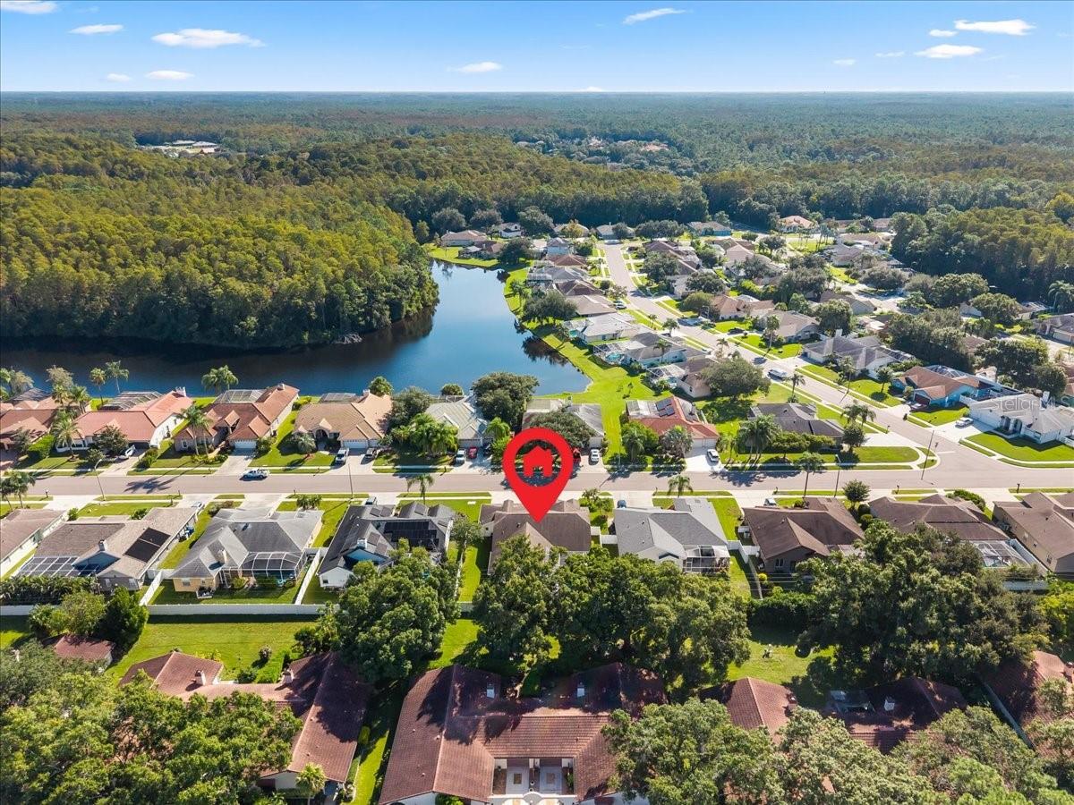 2656 Saddlewood Ln, Palm Harbor, FL 34685 photo