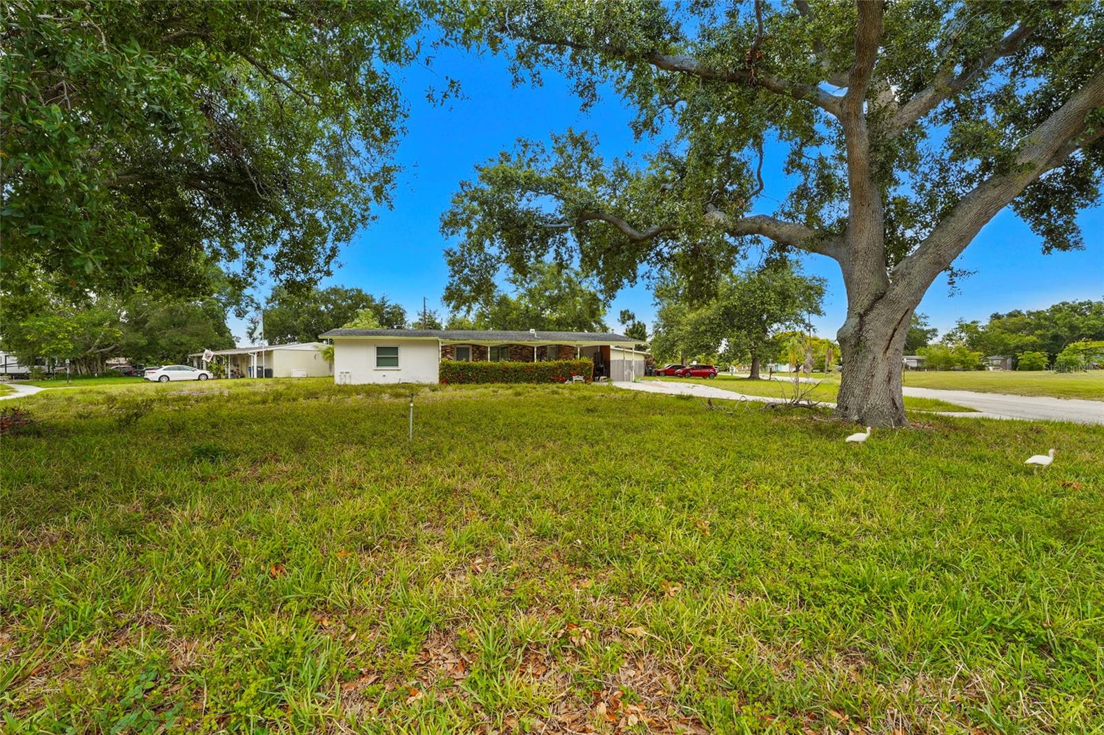 5320 41 Ave, Bradenton, FL 34209 photo