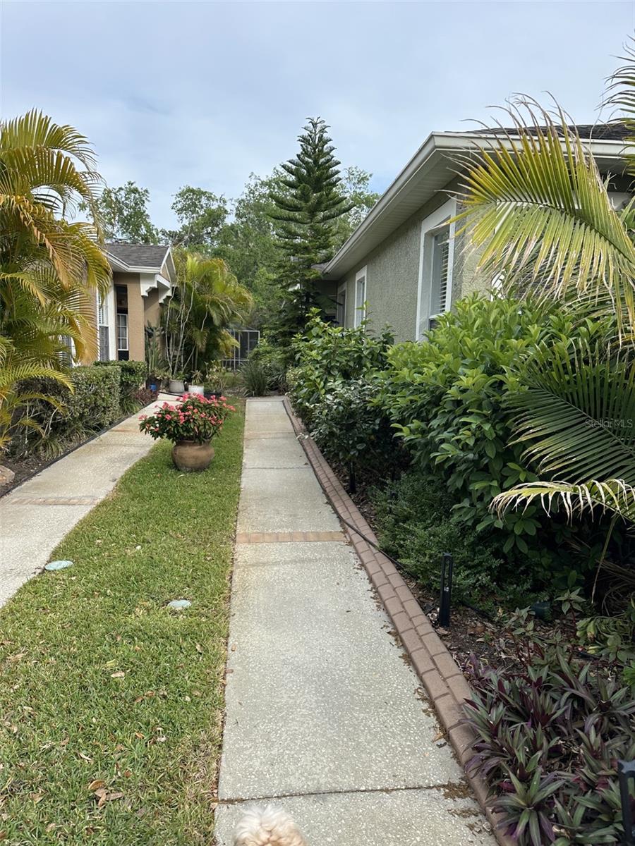 19113 Doves Landing Dr, Tampa, FL 33647 photo