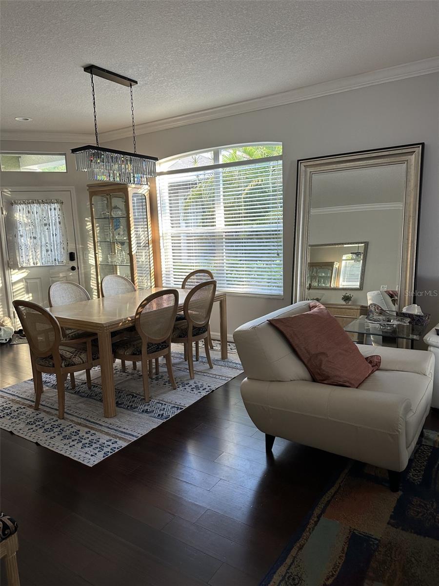 19113 Doves Landing Dr, Tampa, FL 33647 photo