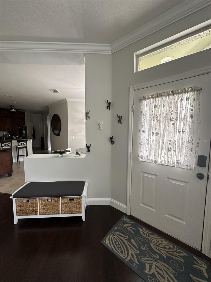 19113 Doves Landing Dr, Tampa, FL 33647 photo