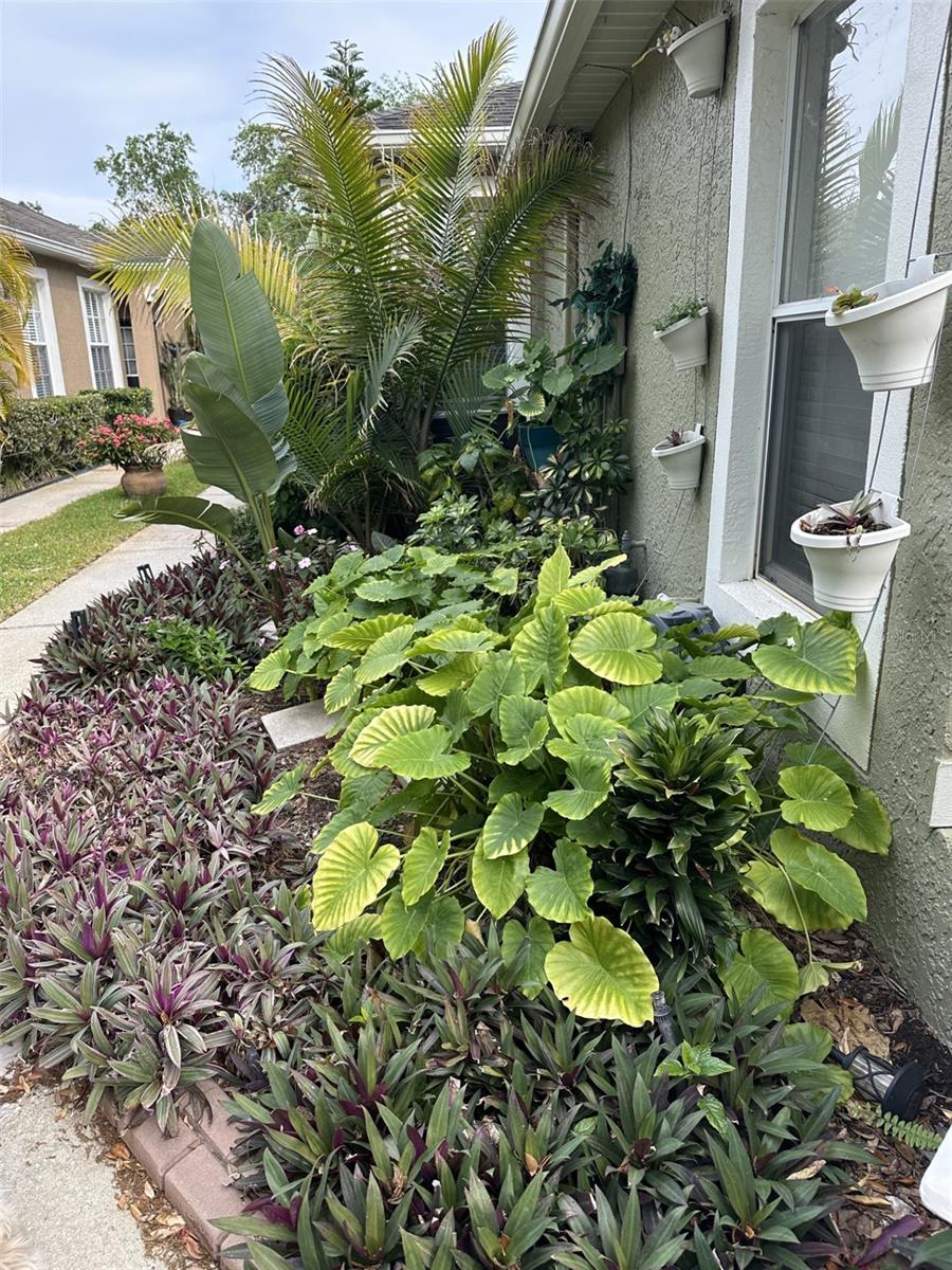 19113 Doves Landing Dr, Tampa, FL 33647 photo