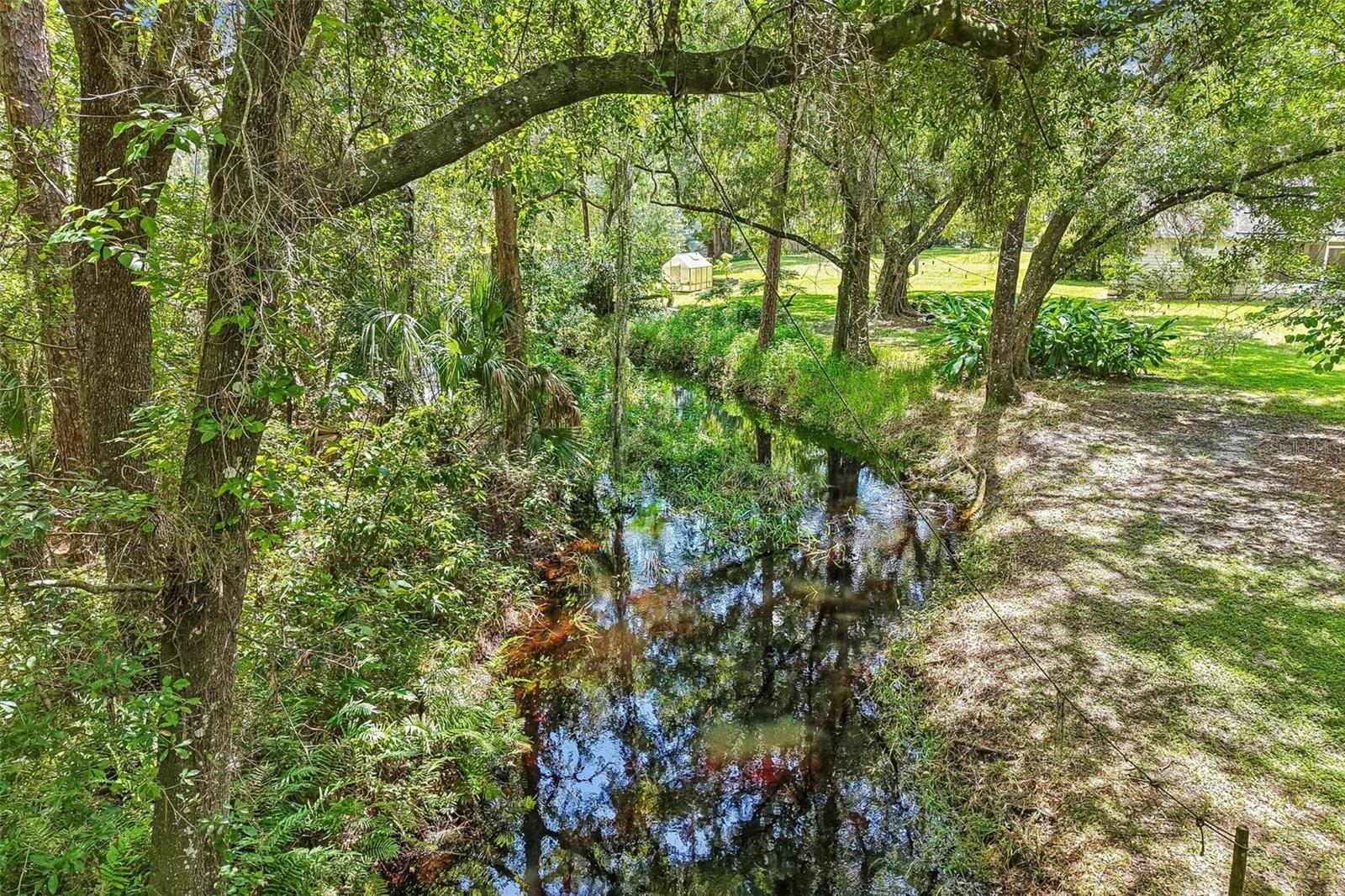 33245 Mandrake Rd, Wesley Chapel, FL 33543 photo