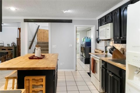 Single Family Residence in CLERMONT FL 11210 ELDERBERRY COURT 9.jpg