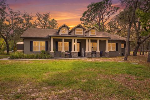Houses For Sale In Spring Hill, FL