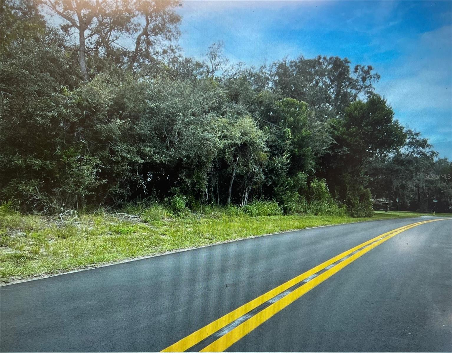 3 Tall Marigolds Ct, Homosassa, FL 34446 photo