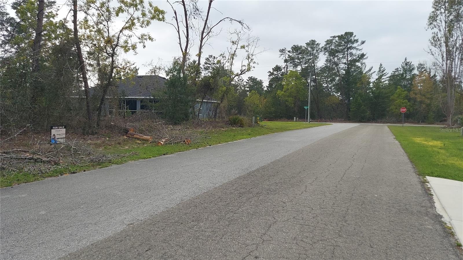 3 Tall Marigolds Ct, Homosassa, FL 34446 photo