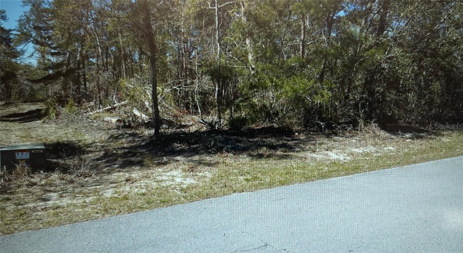 3 Tall Marigolds Ct, Homosassa, FL 34446 photo