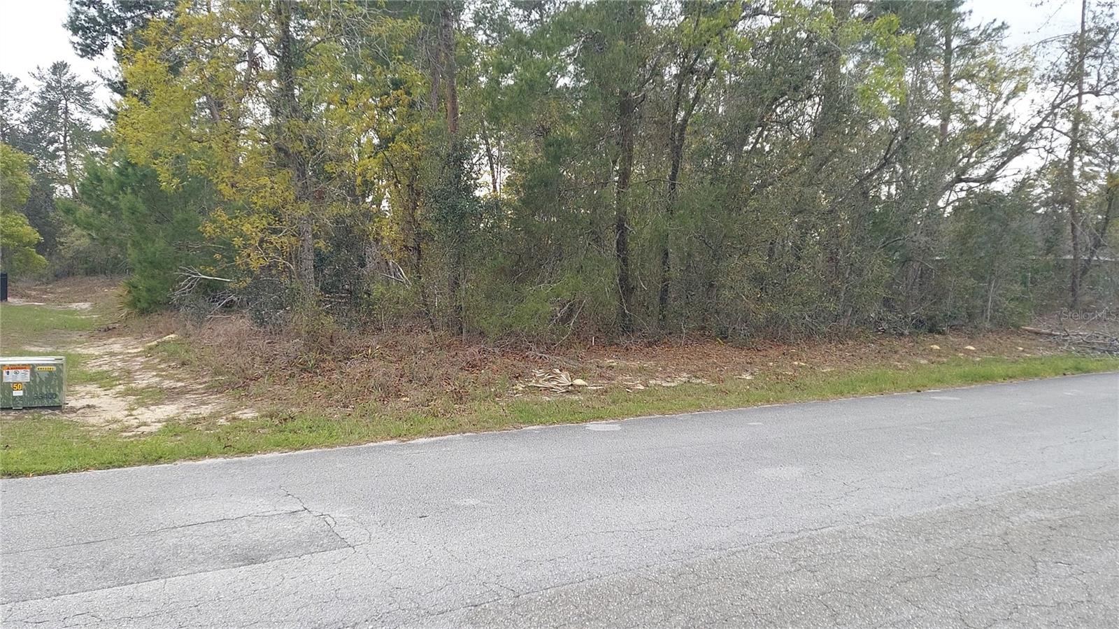 3 Tall Marigolds Ct, Homosassa, FL 34446 photo