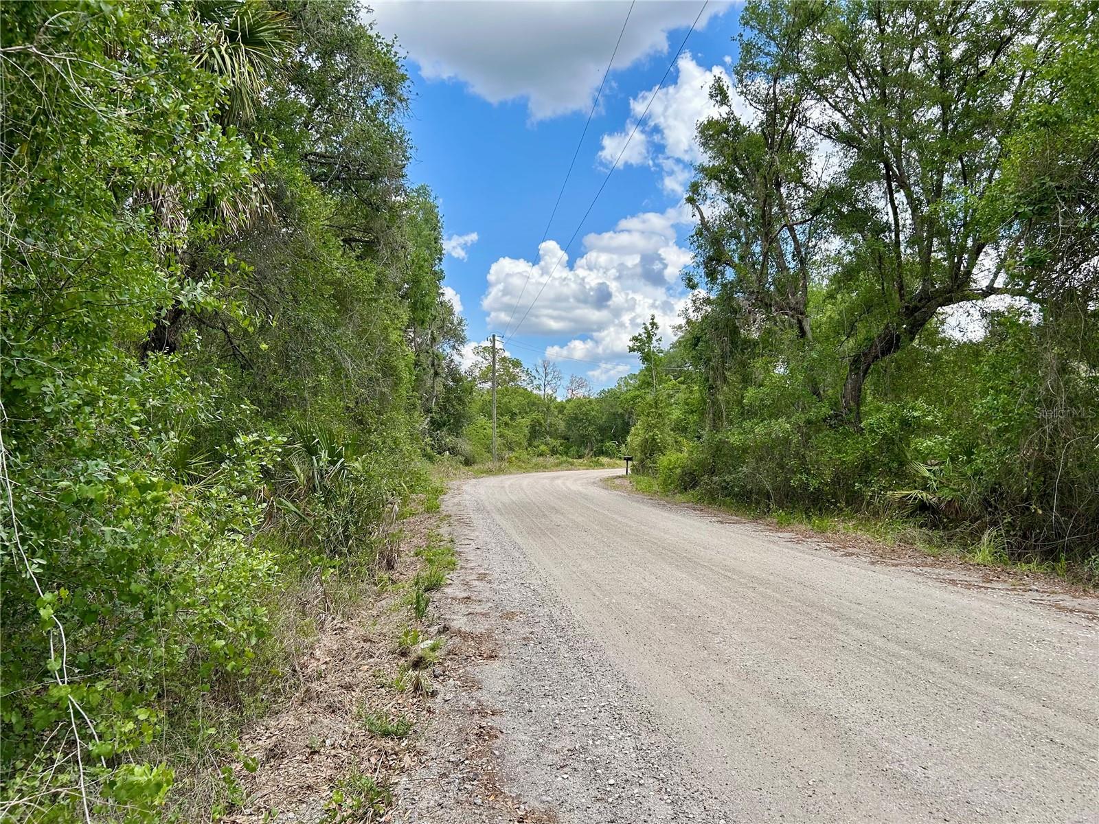 Bronco Dr, Zolfo Springs, FL 33890 photo