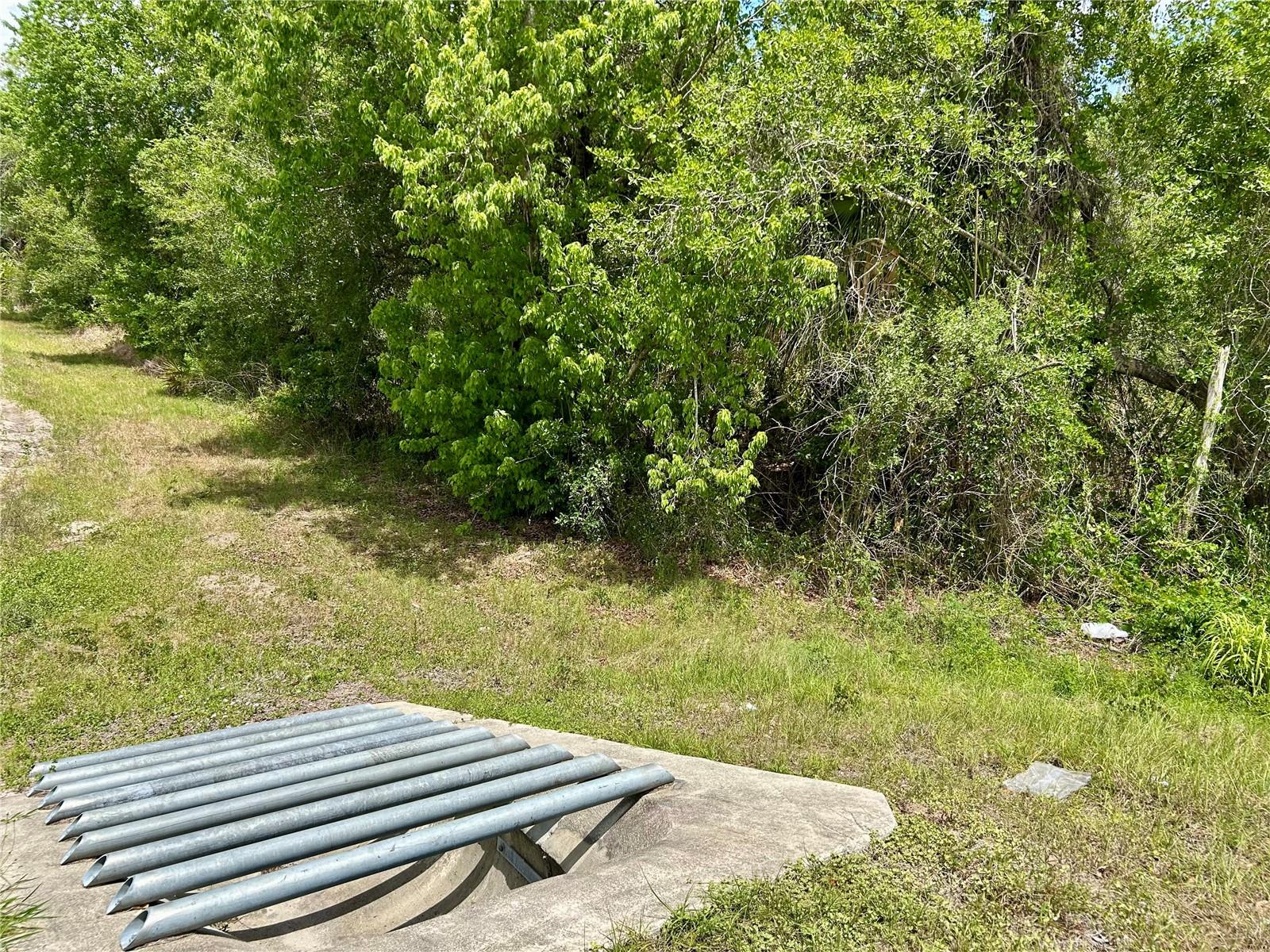 Bronco Dr, Zolfo Springs, FL 33890 photo