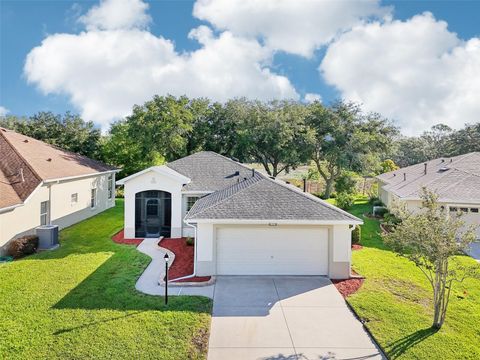 Single Family Residence in LEESBURG FL 27510 DISCOVER COURT.jpg