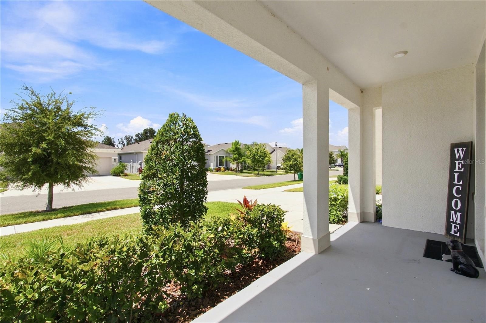 33635 Hamilton Hill Ln, Wesley Chapel, FL 33545 photo