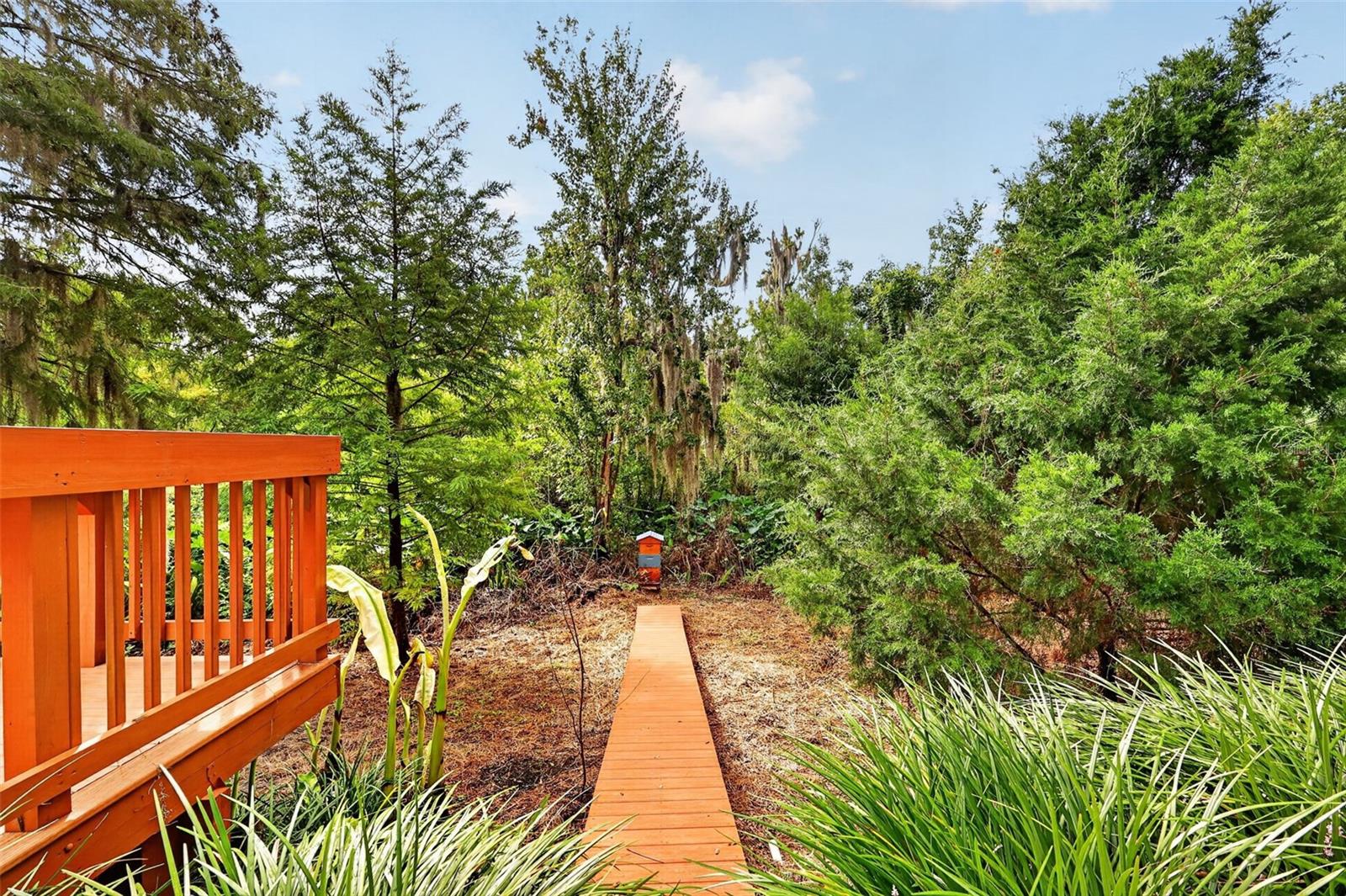 267 Reserve Dr, Tavares, FL 32778 photo