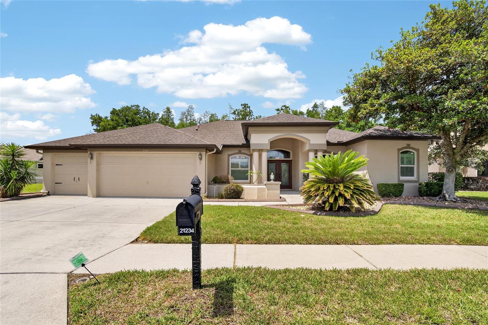 21234 Tangor Rd, Land O Lakes, FL 34637 photo