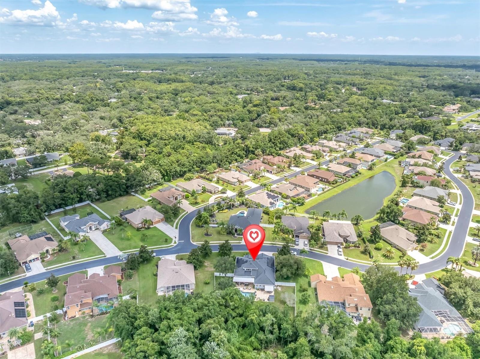 1805 Mountain Ash Way, New Port Richey, FL 34655 photo
