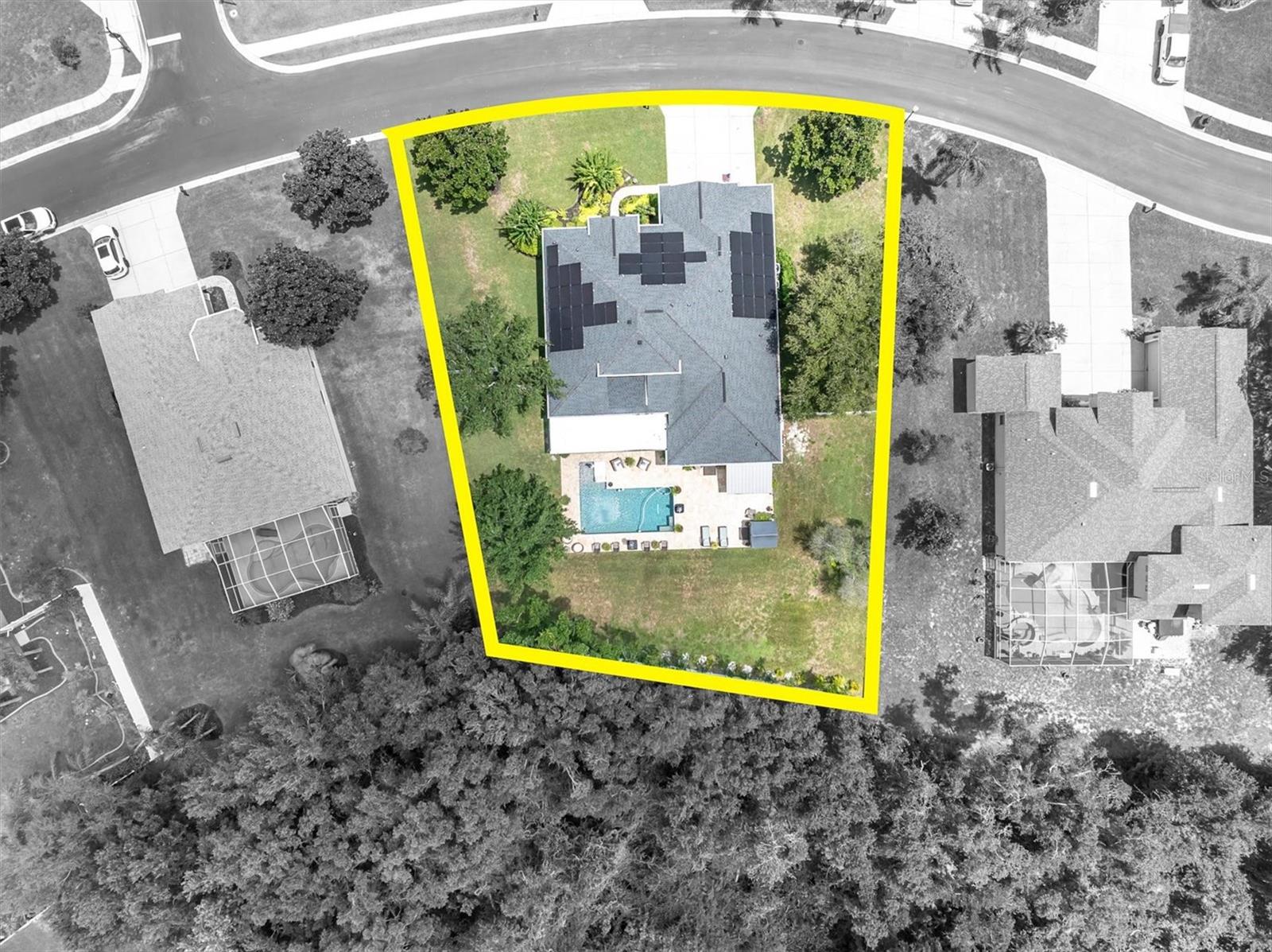 1805 Mountain Ash Way, New Port Richey, FL 34655 photo