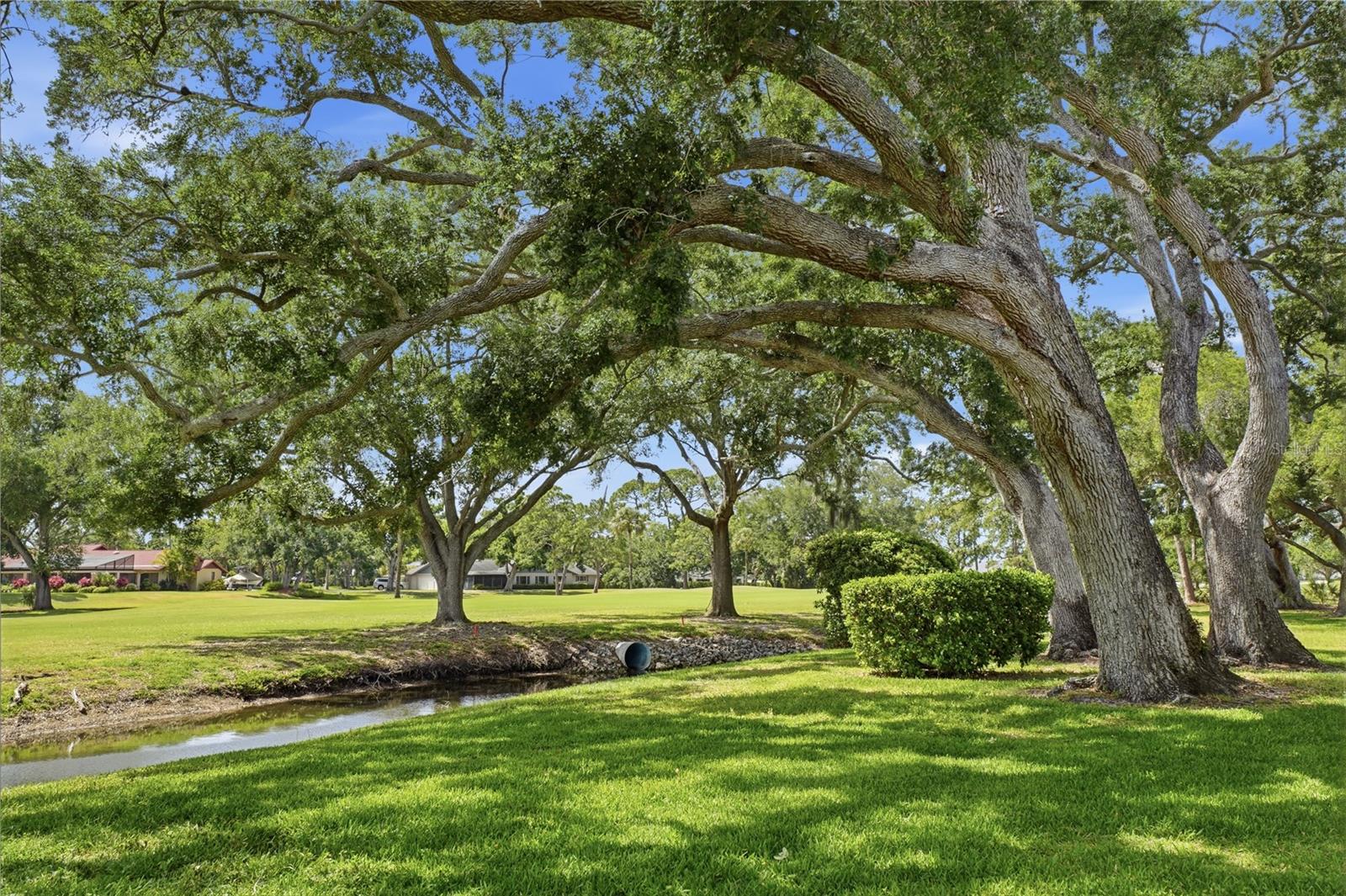 7860 Palm Aire Ln #103, Sarasota, FL 34243 photo