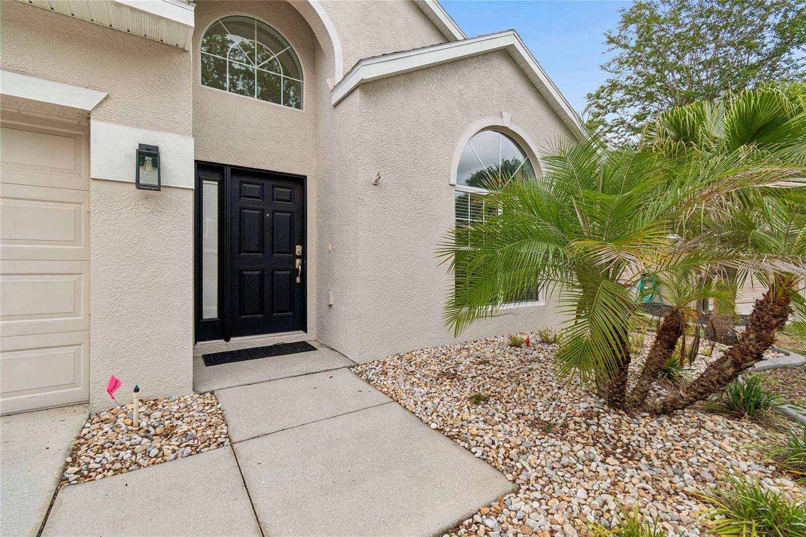 12155 Infinity Dr, New Port Richey, FL 34654 photo