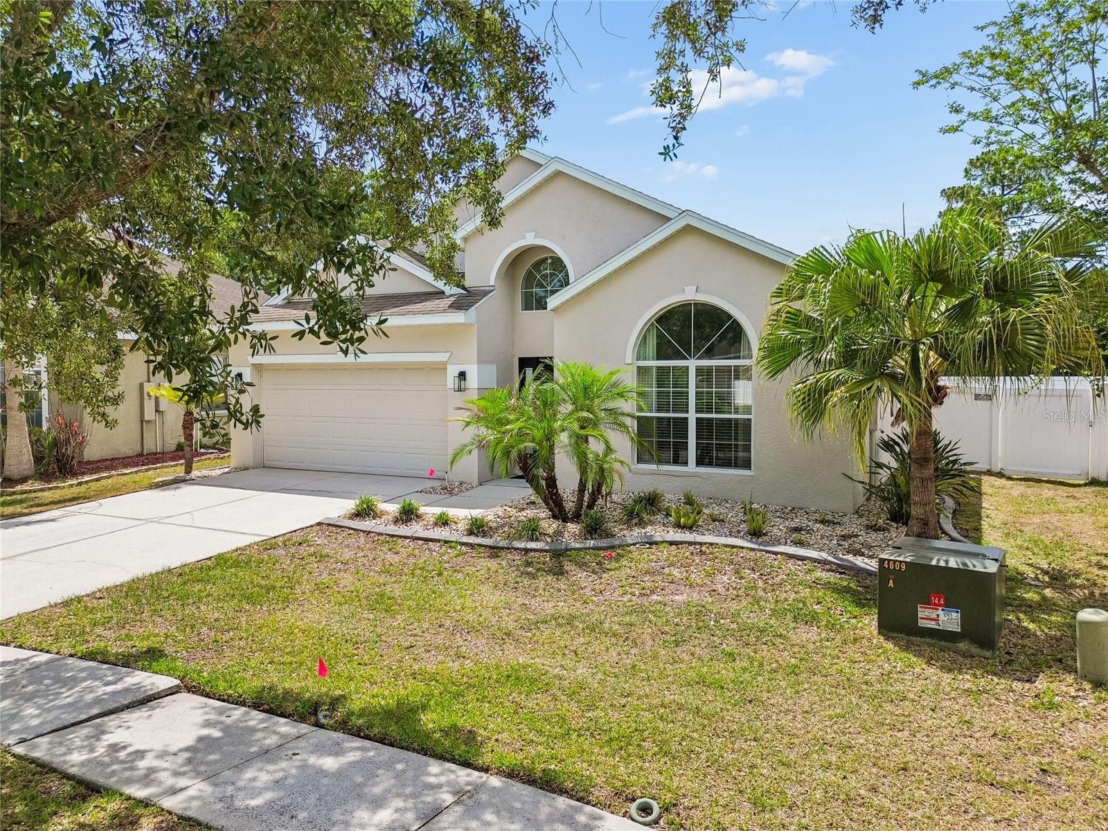 12155 Infinity Dr, New Port Richey, FL 34654 photo