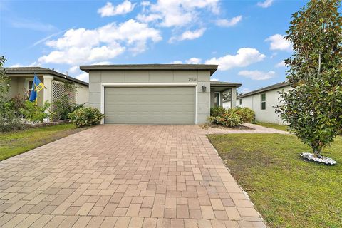 Single Family Residence in LEESBURG FL 29360 CASPIAN STREET.jpg