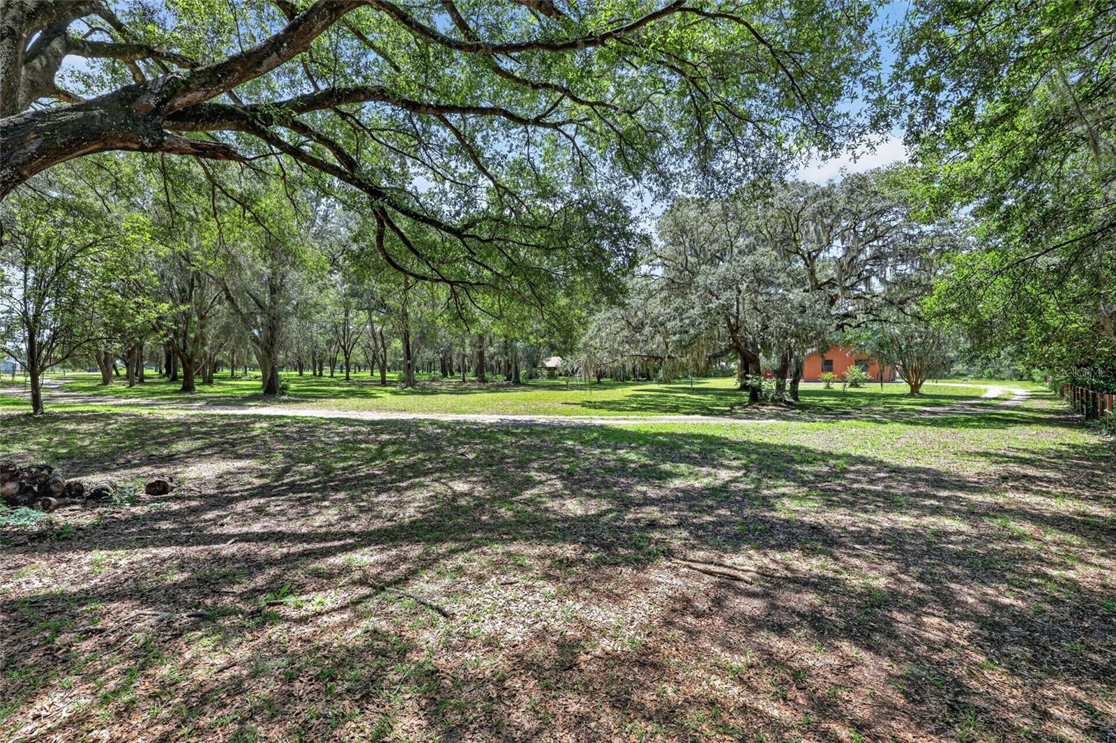 10980 SW 128 Ave, Dunnellon, FL 34432 photo