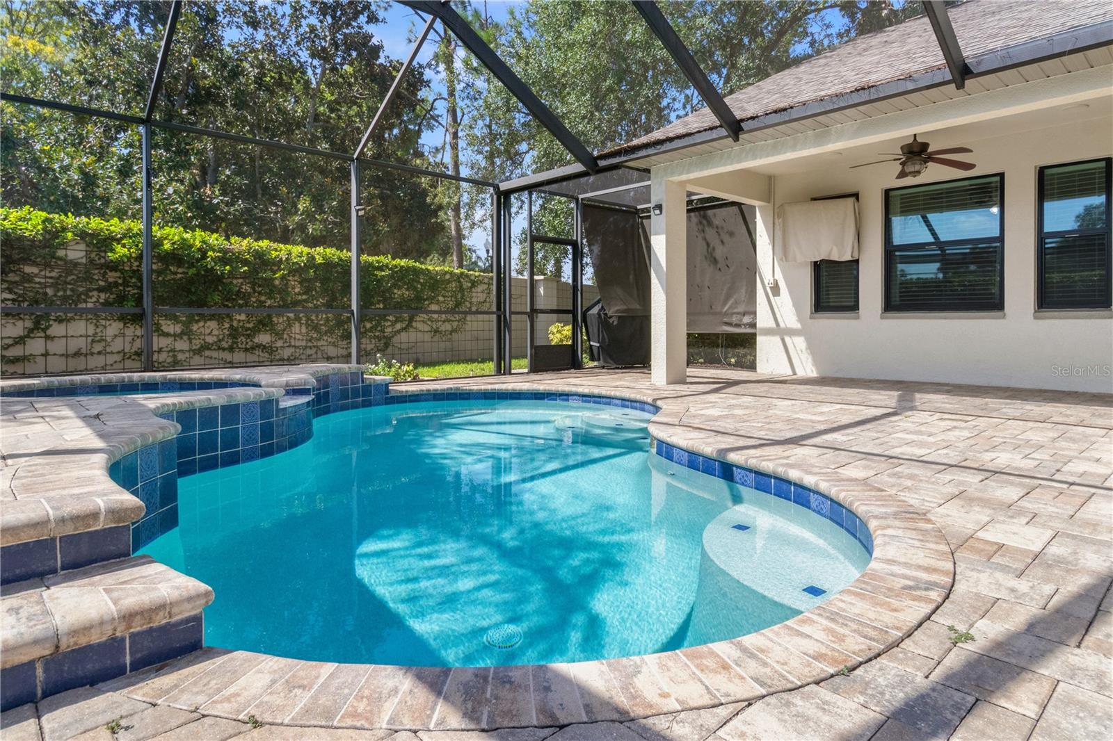 5824 Fish Crow Pl, Land O Lakes, FL 34638 photo