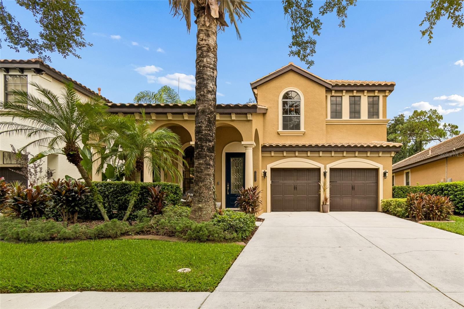 20338 Chestnut Grove Dr, Tampa, FL 33647 photo