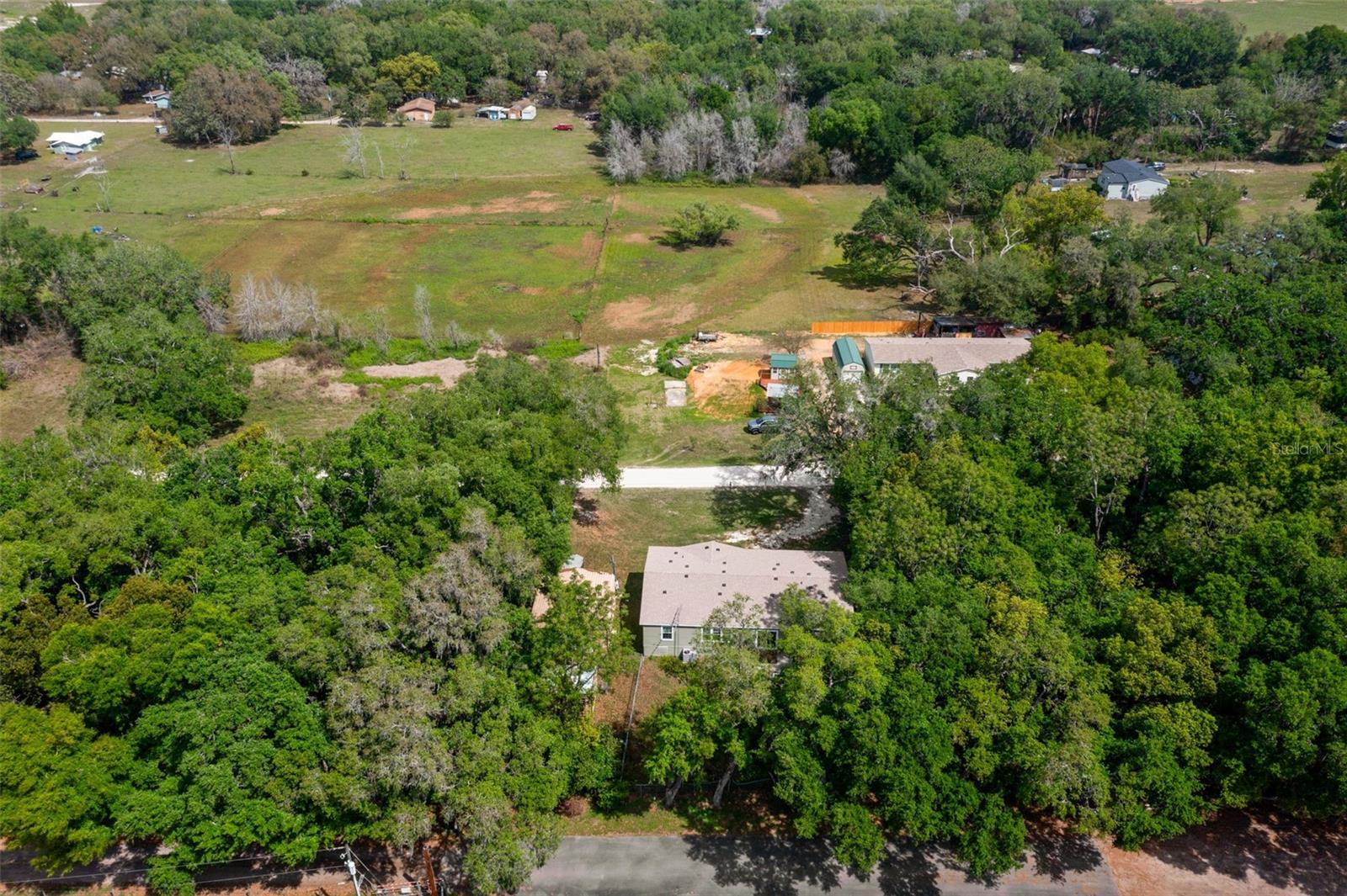 38616 Coleen Ave, Zephyrhills, FL 33540 photo