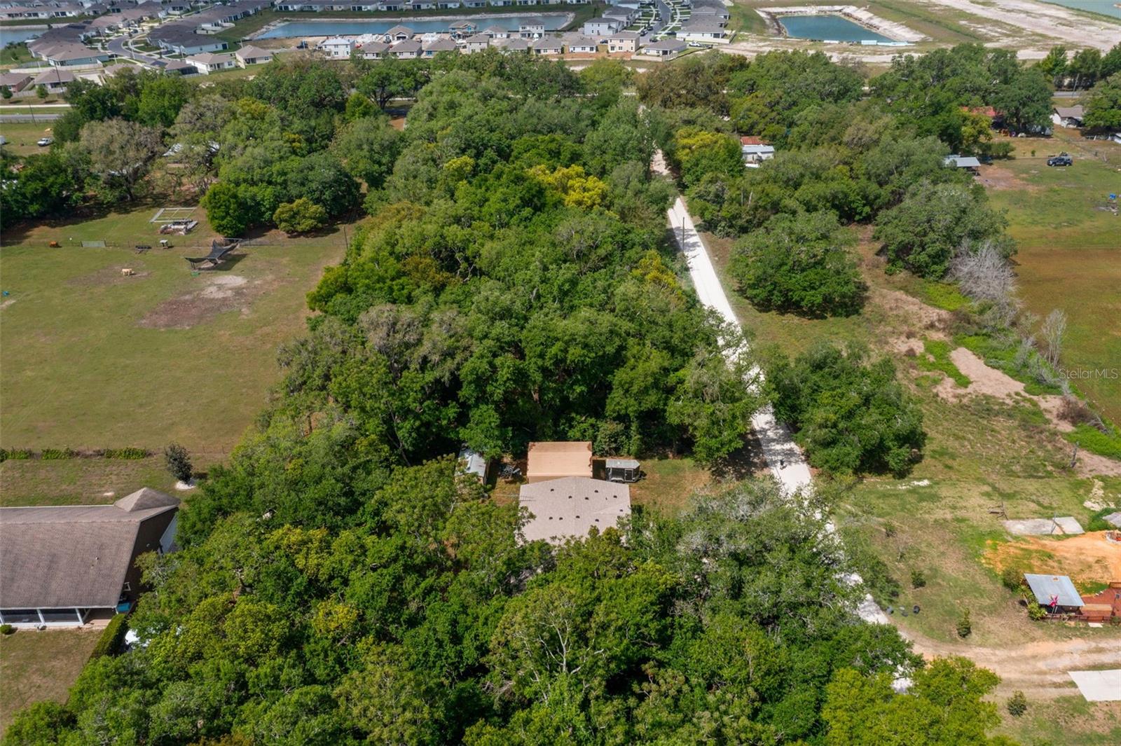 38616 Coleen Ave, Zephyrhills, FL 33540 photo