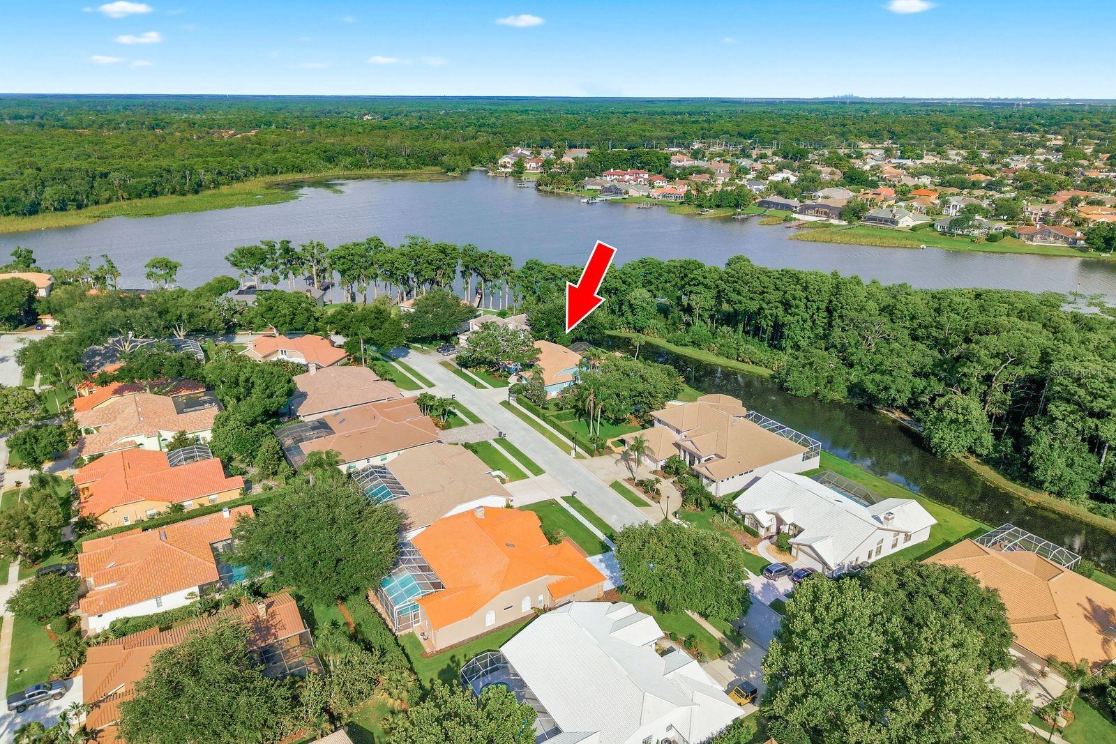 3930 Tarian Ct, Palm Harbor, FL 34684 photo