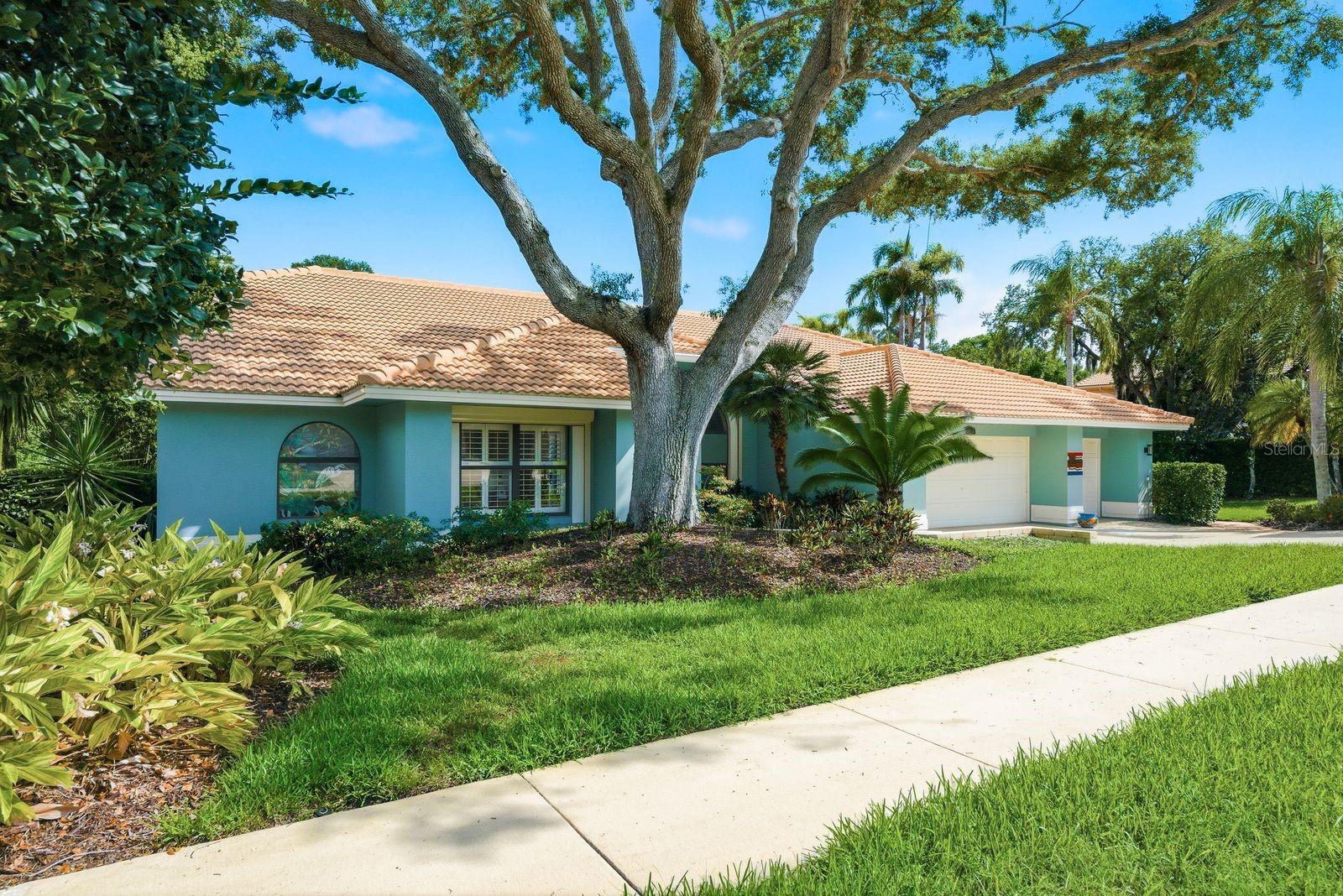 3930 Tarian Ct, Palm Harbor, FL 34684 photo