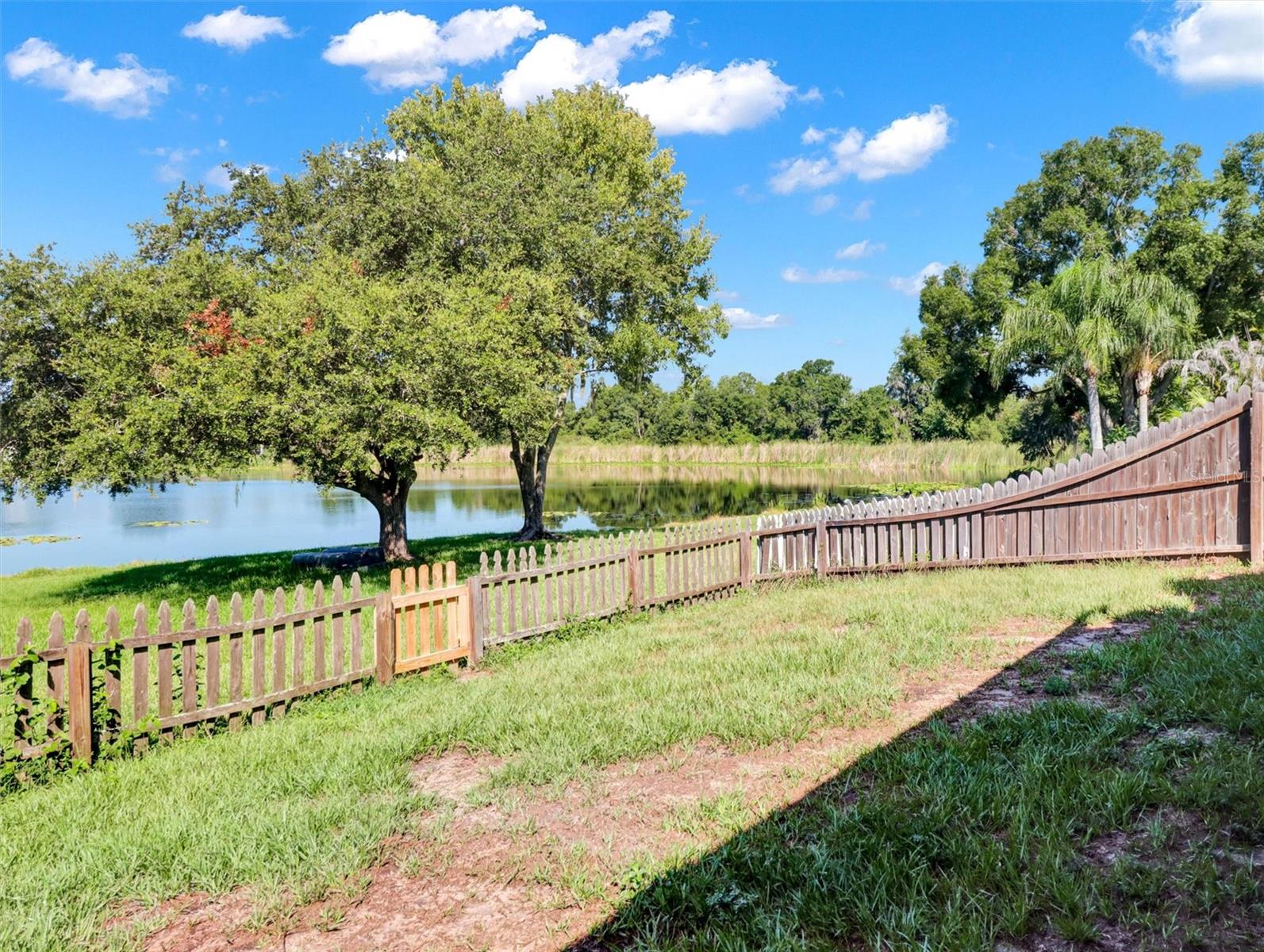 22817 Saint Thomas Cir, Lutz, FL 33549 photo