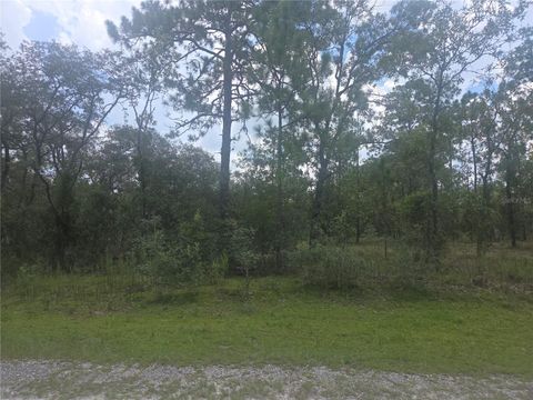  in DUNNELLON FL Lot 3 SE 129 COURT.jpg