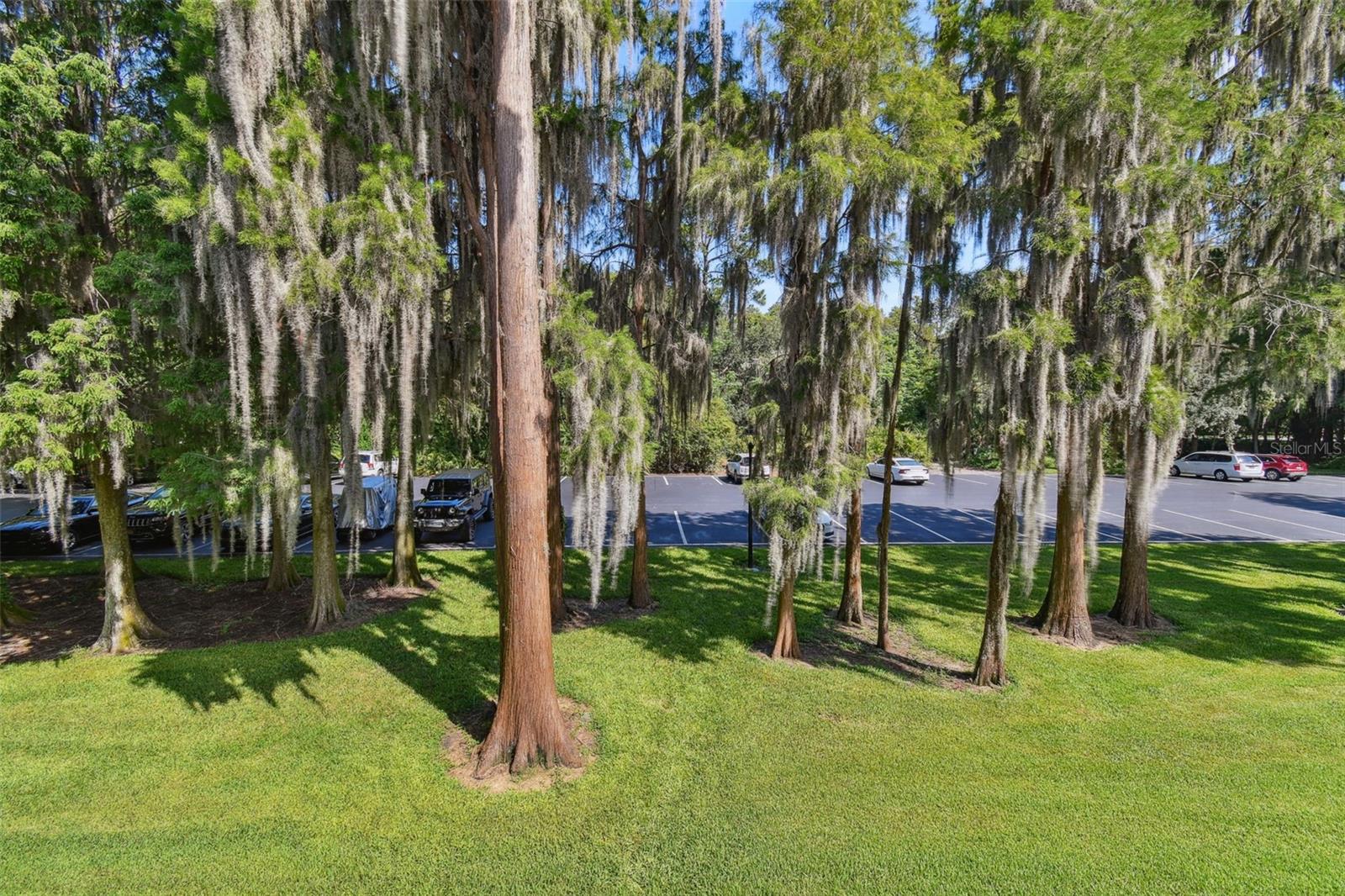 36750 Us Highway 19 #N 04239, Palm Harbor, FL 34684 photo