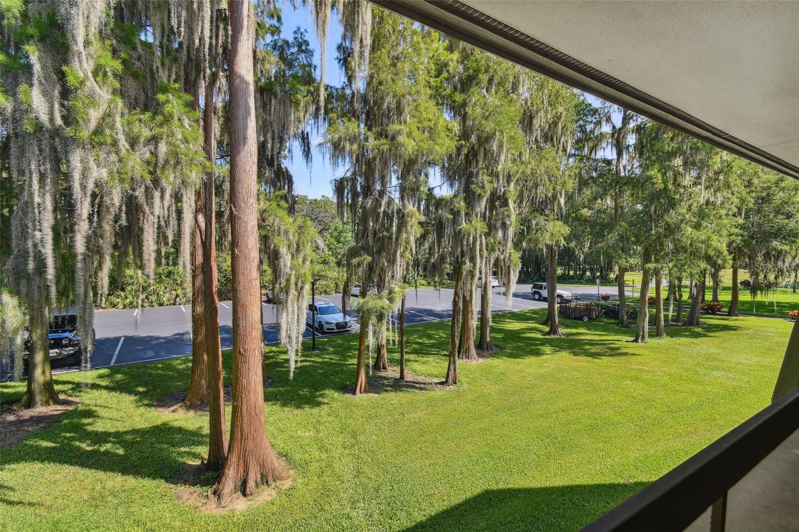 36750 Us Highway 19 #N 04239, Palm Harbor, FL 34684 photo