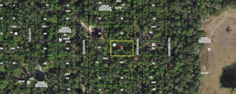  in INVERNESS FL 3862 S KILLDEER AVENUE.jpg