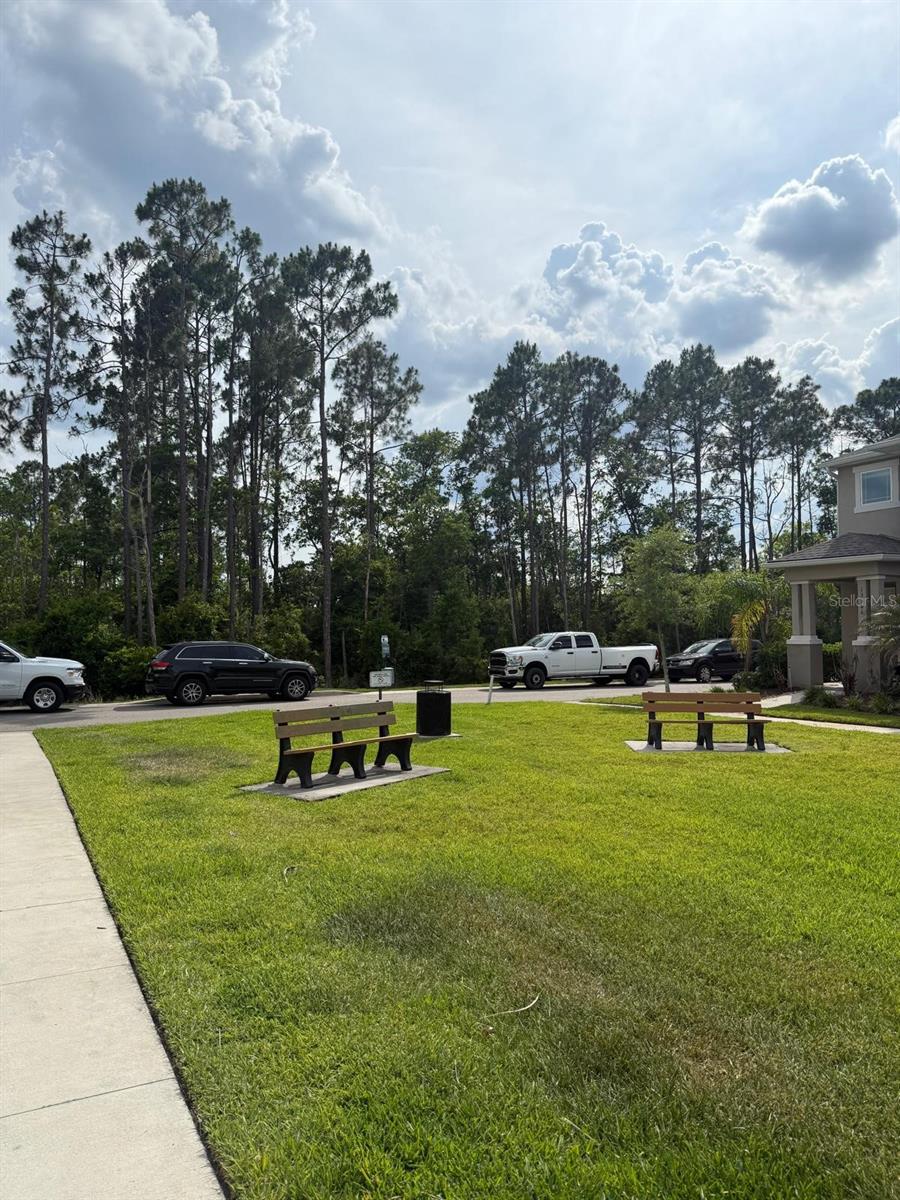 8866 Herencia Aly, Windermere, FL 34786 photo