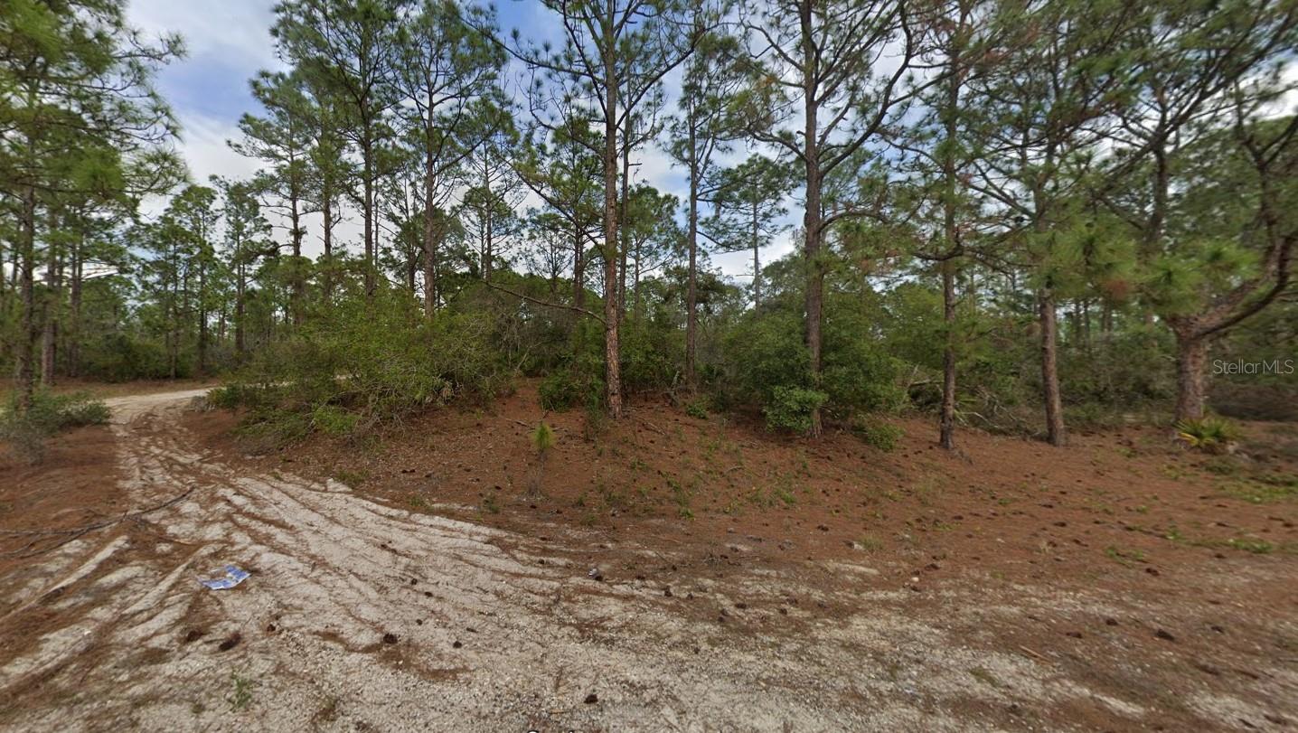 401 Wind Rose Ave, Lake Placid, FL 33852 photo