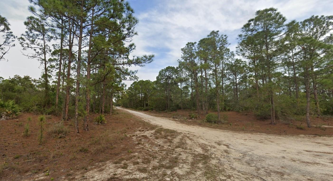 401 Wind Rose Ave, Lake Placid, FL 33852 photo