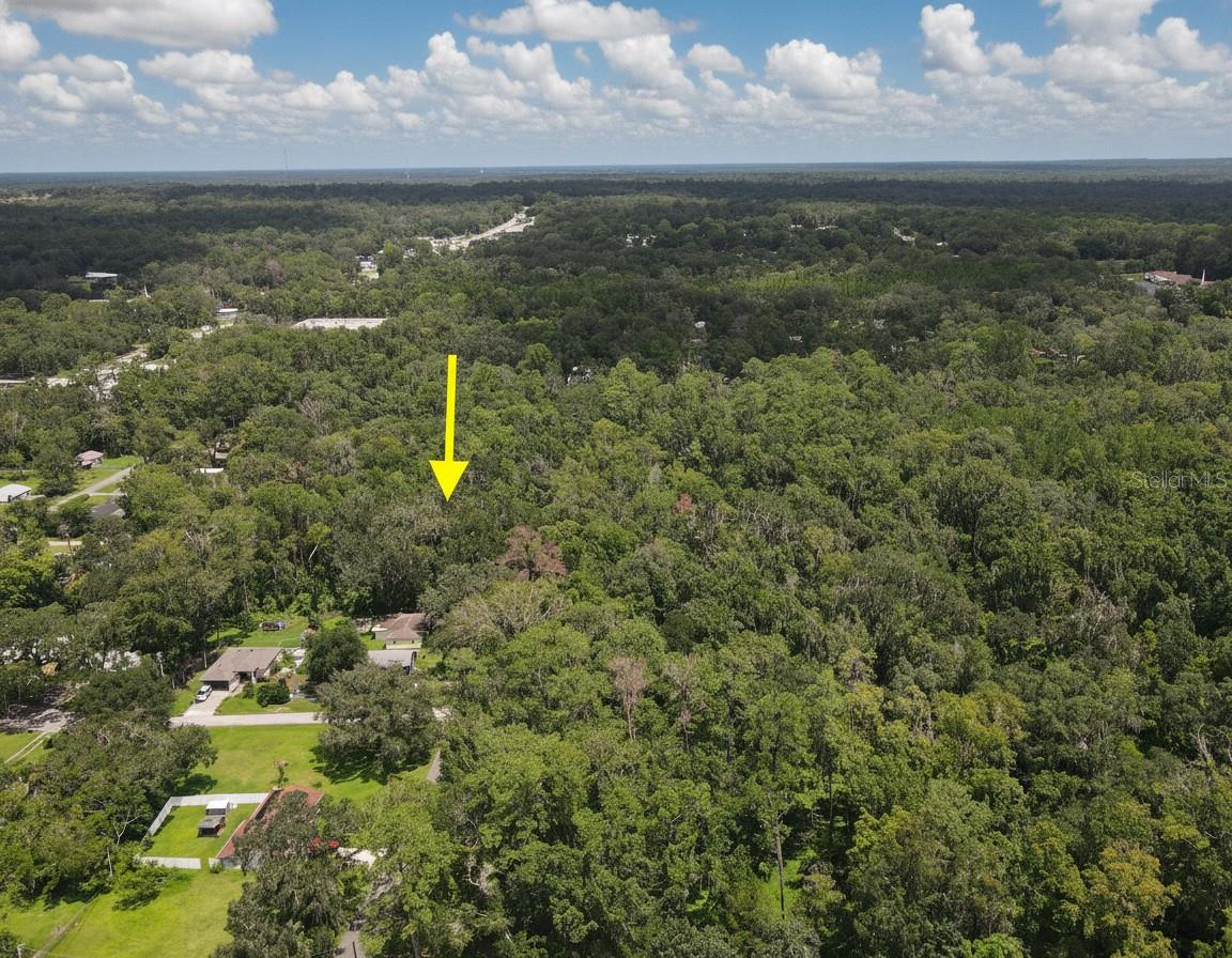 Stafford Ave, Brooksville, FL 34601 photo
