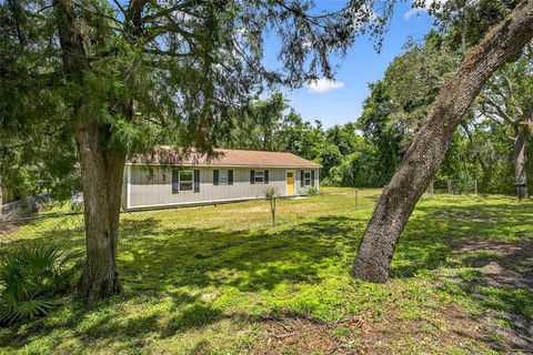Single Family Residence in DADE CITY FL 35328 REYNOLDS STREET.jpg